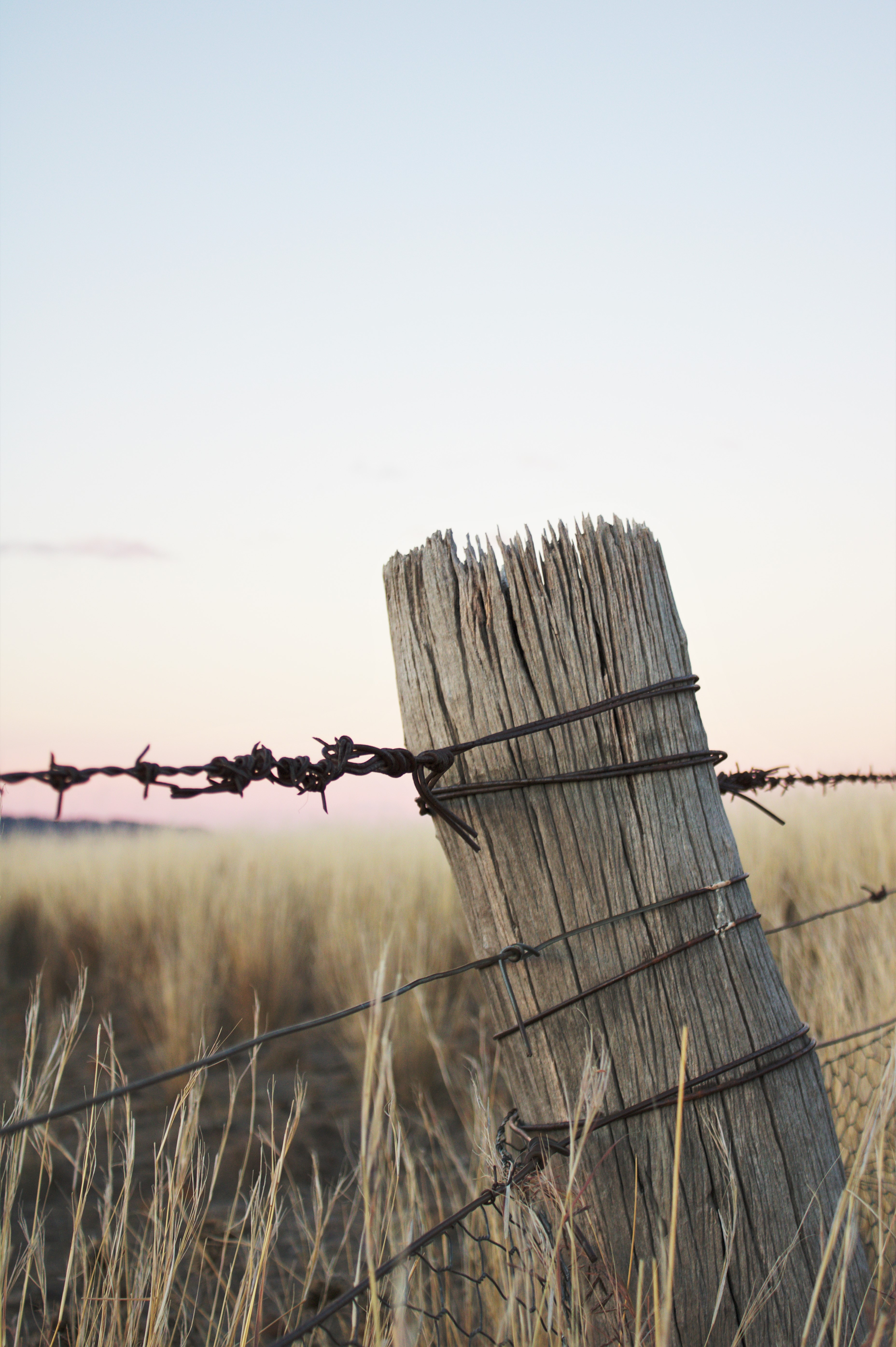 e-s-IRGuPlhnaJ4-unsplash