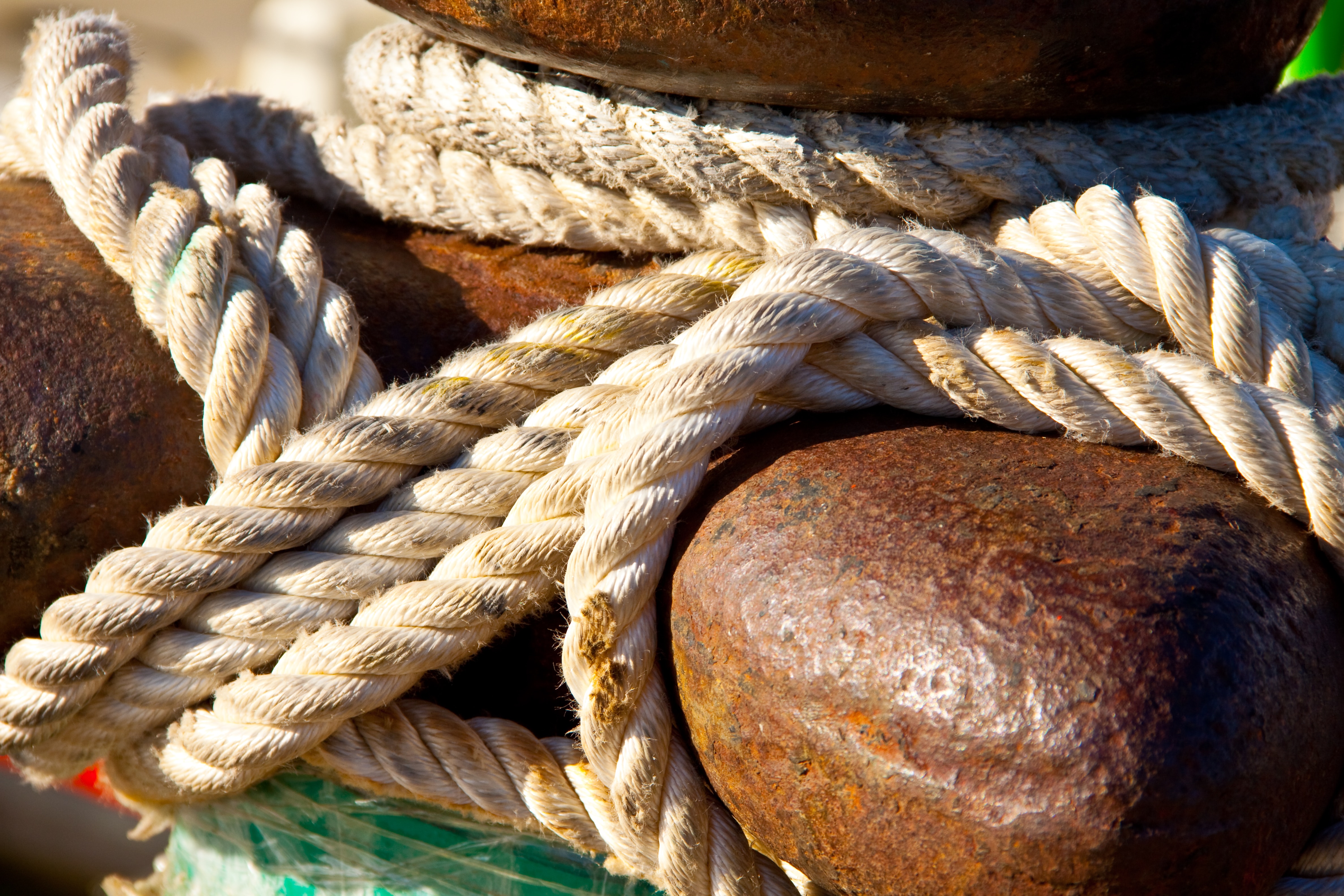 shaun-meintjes-ZCTPaDrks4U-unsplash